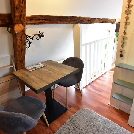 Апартаменты Le Duplex Carnot
